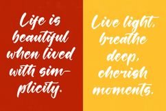Shinobi Morning - Bold Calligraphy Font Product Image 11