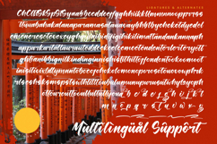 Shinobi Morning - Bold Calligraphy Font Product Image 19
