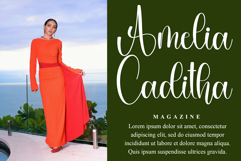 Shiny Christmas Product Image 2