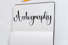 Shiny Christmas Product Image 4