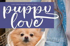 Shiny Cottage - Modern Handbrush Script Product Image 11