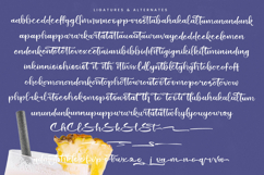 Shiny Cottage - Modern Handbrush Script Product Image 19