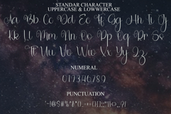 Shiny Holiday Product Image 7