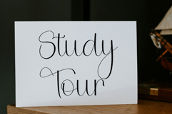 Shiny Holiday Product Image 6