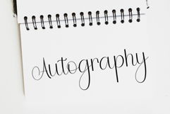 Shiny Holiday Product Image 5