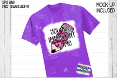 You are important to me - Teacher - Leopard Pencil SVG PNG Product Image 2