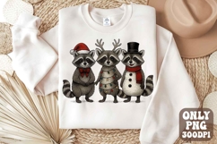 Vintage Christmas Raccoon Png | Christmas Santa Raccoon Product Image 1