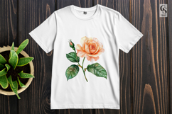 Peach Rose Flower Sublimation Clipart PNG Product Image 3