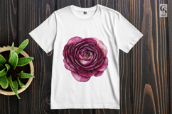 Burgundy Ranunculus Flower Clipart PNG Product Image 3