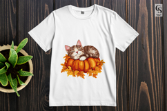 Cute Autumn Cat Clipart Sleeping on Pumpkins Product Image 2