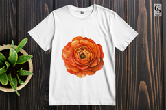 Orange Ranunculus Flower Clipart Sublimation PNG Product Image 3