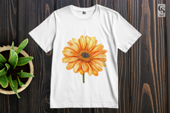Orange Daisy Flower Clipart Sublimation PNG Product Image 3