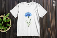 Blue Cornflower Botanical Clipart PNG Product Image 3