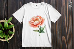 Peony Flower Clipart PNG Product Image 3