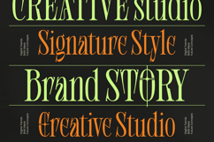 Shliterin Elegant Condensed Serif Product Image 10