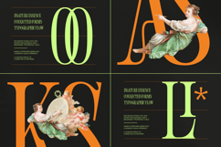 Shliterin Elegant Condensed Serif Product Image 12