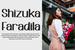 Shopping Paradise Product Image 2