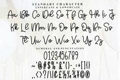 Shopping Product Image 4