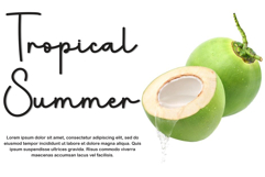 Shortcake Product Image 4