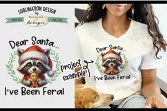 Feral Raccoon with Ginger| PNG Design for Sublimation or DTF Product Image 5