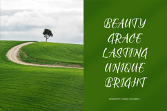 Shothery Mistoph - Modern Handwritten Font. Product Image 9