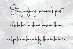 Shoulmate Product Image 4