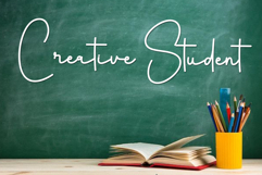 Shoulmate Product Image 8