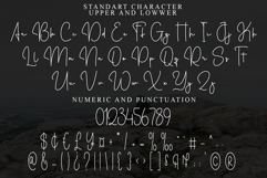 Shoulmate Product Image 5