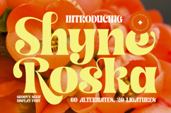 Shyne Roska - Groovy Serif Display Font Product Image 1