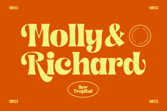 Shyne Roska - Groovy Serif Display Font Product Image 5