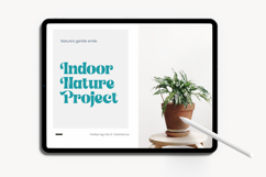 Shyne Roska - Groovy Serif Display Font Product Image 6