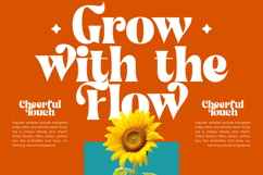 Shyne Roska - Groovy Serif Display Font Product Image 7