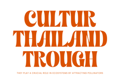 Shyne Roska - Groovy Serif Display Font Product Image 13