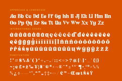 Shyne Roska - Groovy Serif Display Font Product Image 19