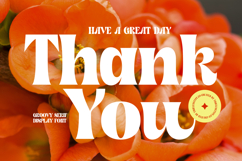 Shyne Roska - Groovy Serif Display Font Product Image 20