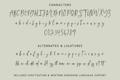 Caravanner Script Product Image 10