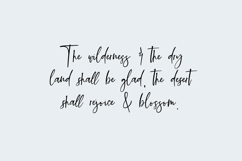 Caravanner Script Product Image 2