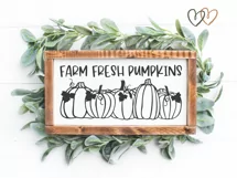 Pumpkins SVG | Farm Fresh Pumpkins SVG | Autumn SVG Product Image 2