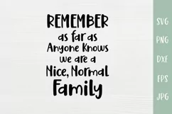 Nice Normal Family - Funny Family Quote Sign SVG Product Image 2
