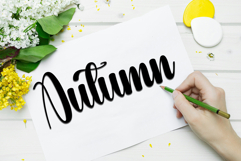 Signature Calligraph Product Image 3