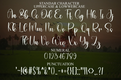 Signature Girlband Product Image 7