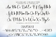 Signature Product Image 4