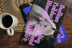 Silakins - New Blackletter Display Font Product Image 4