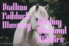 Silakins - New Blackletter Display Font Product Image 17