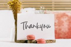 Silent Diary - Brush Script Font Product Image 7