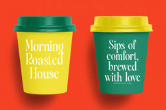 Silent Gingers - Modern Serif Display Product Image 2