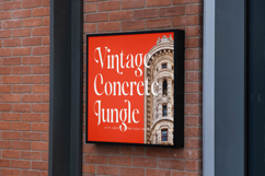 Silent Gingers - Modern Serif Display Product Image 4
