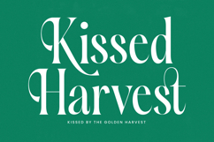 Silent Gingers - Modern Serif Display Product Image 8