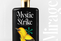 Silent Gingers - Modern Serif Display Product Image 14