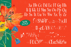 Silent Gingers - Modern Serif Display Product Image 18